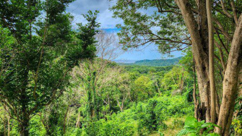 46 acres, Ocean Views, El Baston, SJDS