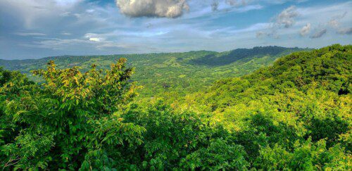 75 Acres of Mountain Forest in San Juan del Sur