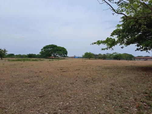 Altos De Balcones Development Opportunity