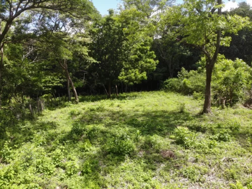 Lot Main Road – Playa Gigante