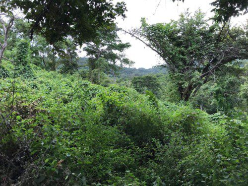 22 Acre Property With Ocean View in Playa Gigante