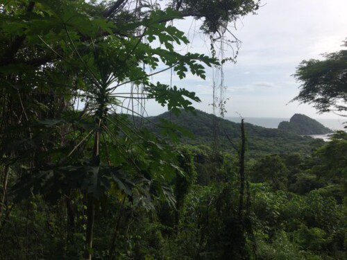 Ocean View Raw Land – Playa Gigante