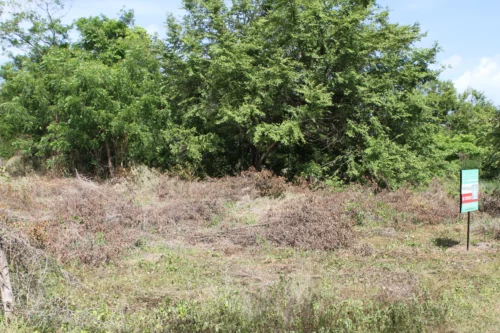 Lot in Playa Guasacate, Nicaragua | La Jolla Lot – 37