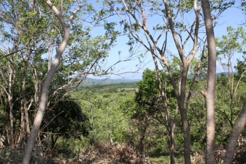 Hills Mountain Views Lot in Playa Guasacate