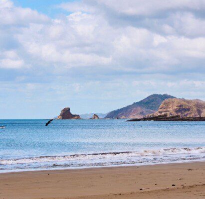 Bosques de Mar