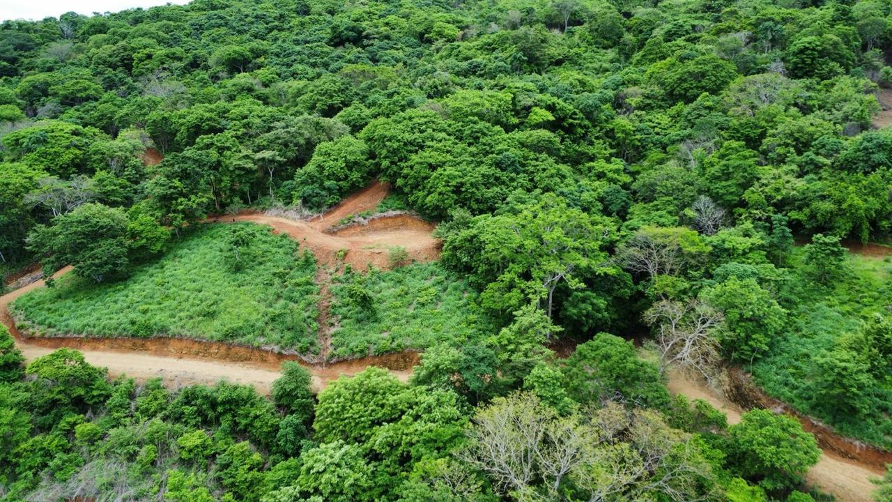 image section