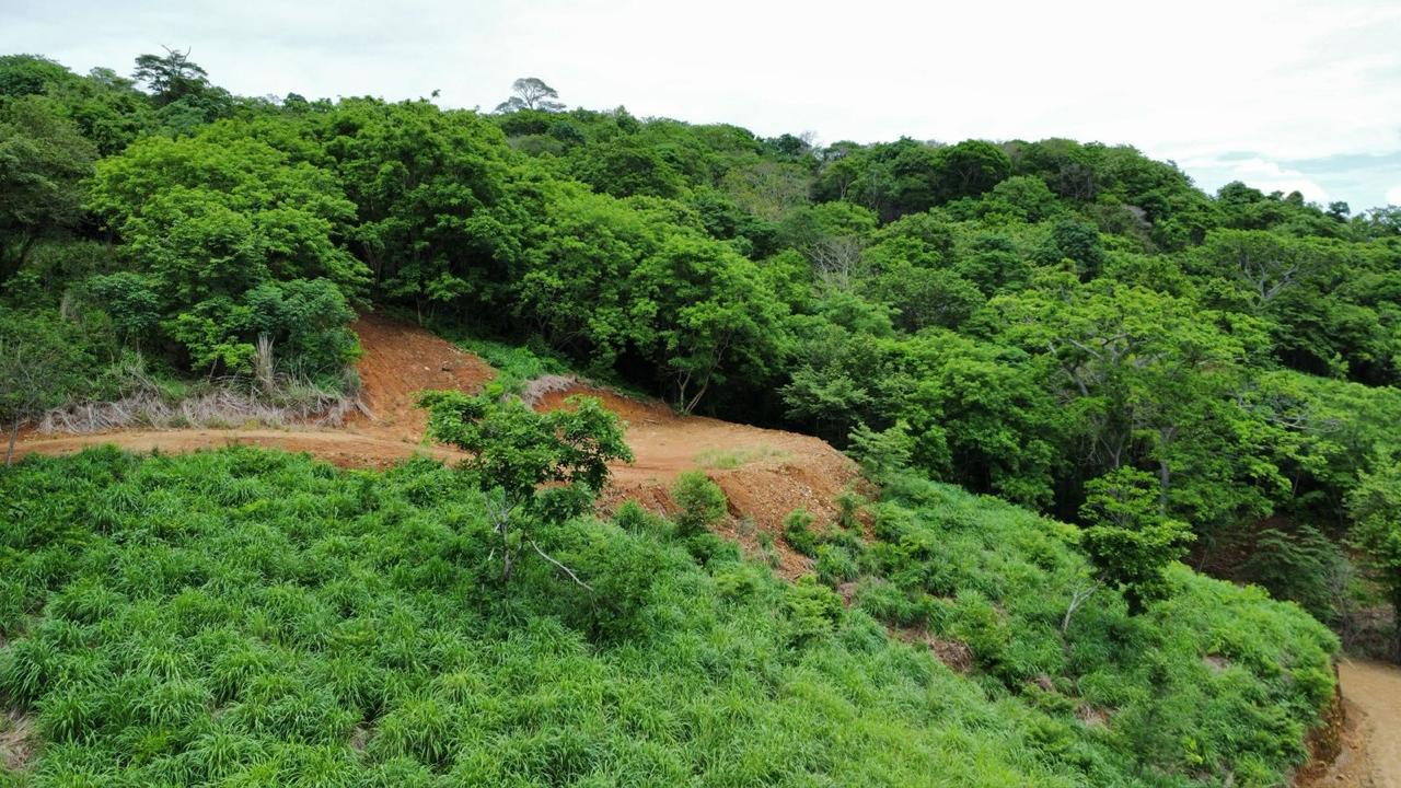 image section