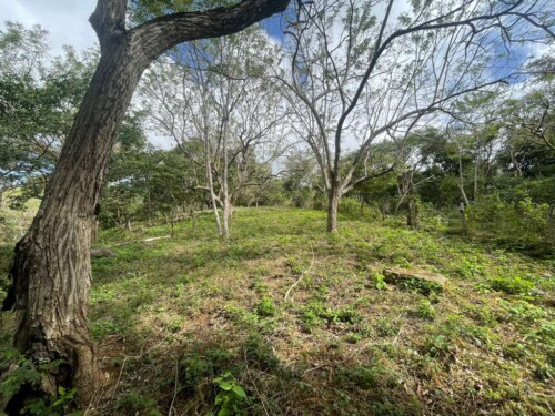 Fincas de Escamequita lot #48